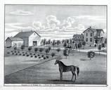 J.C. Pinneo, Bond County 1875